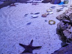 -多彩贵州城极地海洋世界