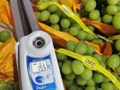 -南京众彩农副产品配送有限公司