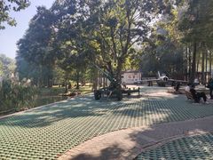 -青龙山国家森林公园