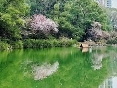 -桃花岭景区