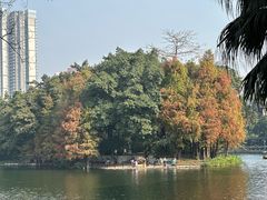 -荔湾湖公园