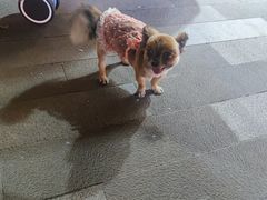 -新天地活力PARK