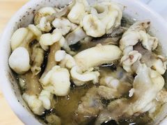 -广达眼镜炖罐(广达店)