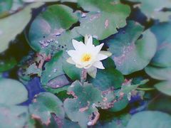 -南京特殊教育师范学院(燕子矶校区)