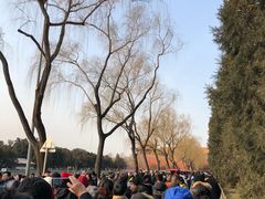 -东华门大街小区