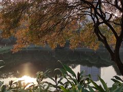 -重庆中央公园(渝北区)