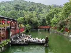 -香山小厨(南联路店)