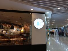 -油梨树 AVOCADO TREE(亮马桥店)
