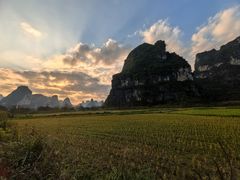 -明仕田园