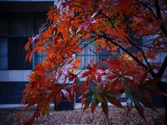 -南京航空航天大学(明故宫校区)