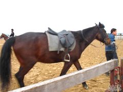 -松声马术俱乐部