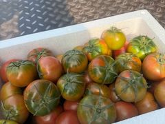 -东方鼎信农副产品交易中心