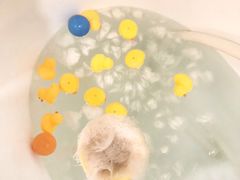 -Double Rui宠物酒店