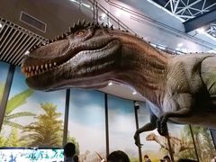 -湖南省地质博物馆