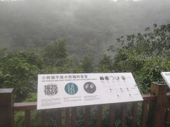 -都江堰中华大熊猫苑