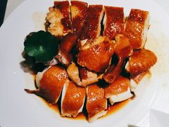 -点都德·毕德寮
