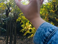 -东钱湖旅游度假区