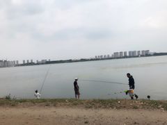 -丁香湖公园