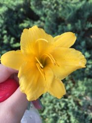 -大望京儿童游乐场