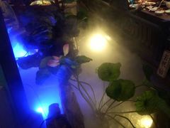 -佬麻雀·新湘菜(珠海金发购物中心店)