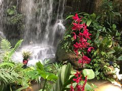 -华南国家植物园-售票处