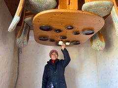 -金山农民画村-枫泾波兰倒置屋