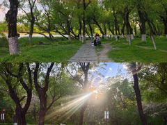 -长春市南湖公园