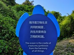 -广东惠东海龟国家级自然保护区