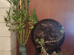 -国际饭店·原点咖啡吧ORIGIN CAFE&BAR