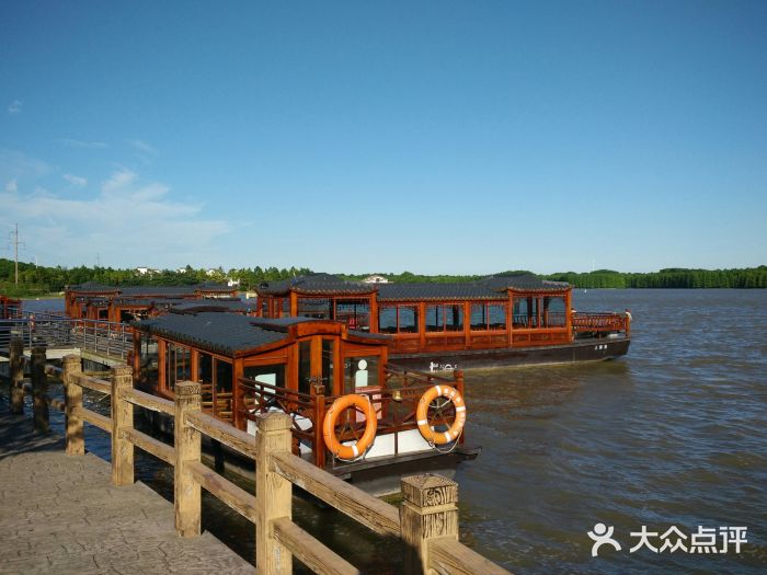 上海海湾国家森林公园景点图片