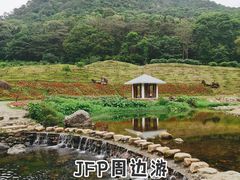-广州市石门国家森林公园