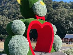 -广州市石门国家森林公园