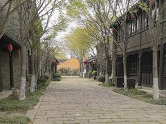 -东台西溪天仙缘景区