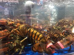 波士顿龙虾-盒马鲜生(财富中心店)