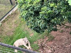 -深圳野生动物园