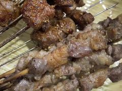 -周记老沈阳焦火鸡架