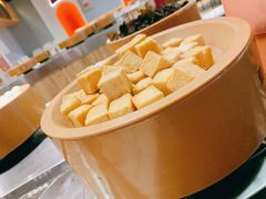 -龍歌自助小火锅(市南金茂湾店)