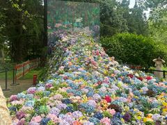 -上海共青森林公园