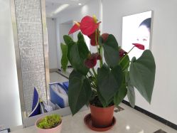 -Return·蕾特恩祛痘·皮肤管理中心