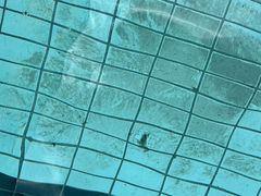 -昌平体育局室外游泳馆
