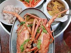 -臻爱住家月嫂育儿嫂(万达店)