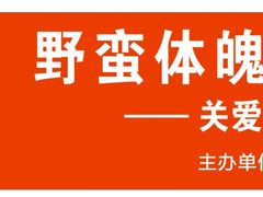 -顶峰篮球俱乐部(南头店)