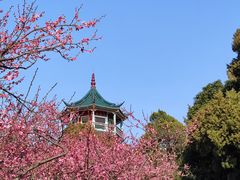 -无锡梅园公园