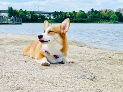 -美兰湖景区