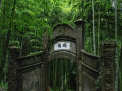 -莫干山风景区