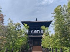 -大唐贡茶院