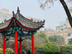 -莲湖公园