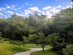 -云溪植物园