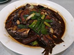 -农家大院(纪王店)