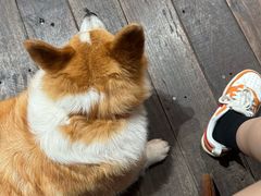 -肥朵食堂(带梦胡同店)